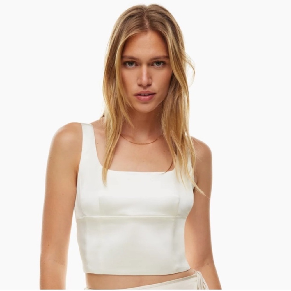 Aritzia Shine Bustier Top
